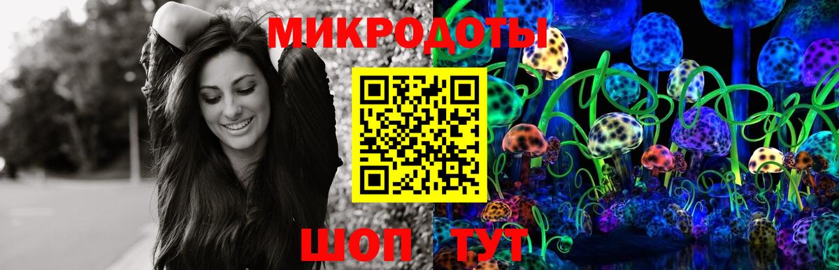 Псилоцибиновые грибы MAGIC MUSHROOMS Вышний Волочёк