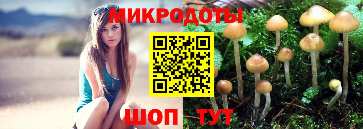Вышний Волочёк  Псилоцибиновые грибы GOLDEN TEACHER  Вход с VPN 